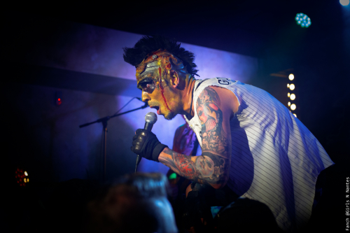 AK-SHELTER-2022-BANANE-METALIK-full-size-IMG 9213