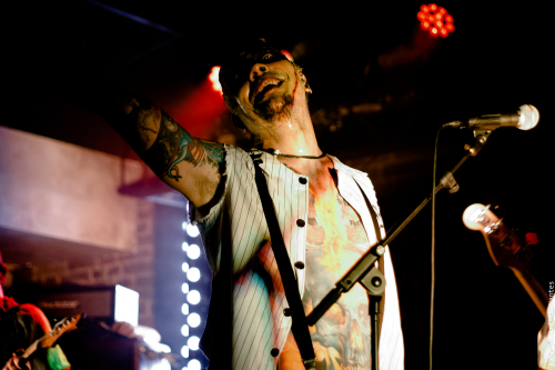 AK-SHELTER-2022-BANANE-METALIK-full-size-IMG 9267