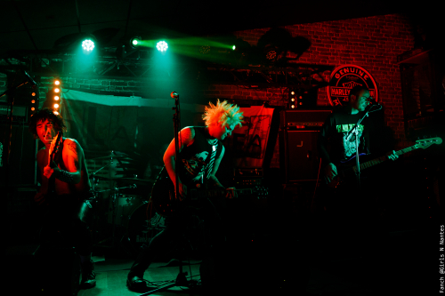 AK-SHELTER-2022-BLATOIDEA-full-size-IMG 8612