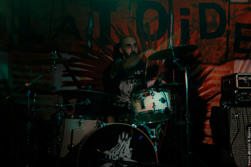 AK-SHELTER-2022-BLATOIDEA-full-size-IMG 8638